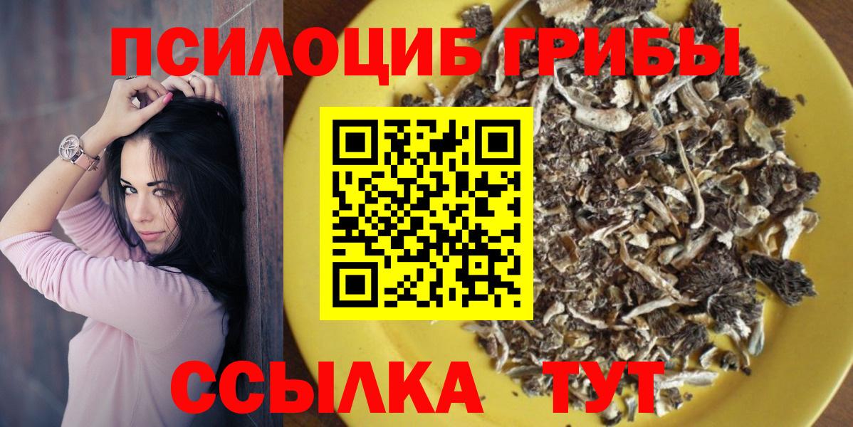 Кушва  Псилоцибиновые грибы мицелий  Вход с VPN 