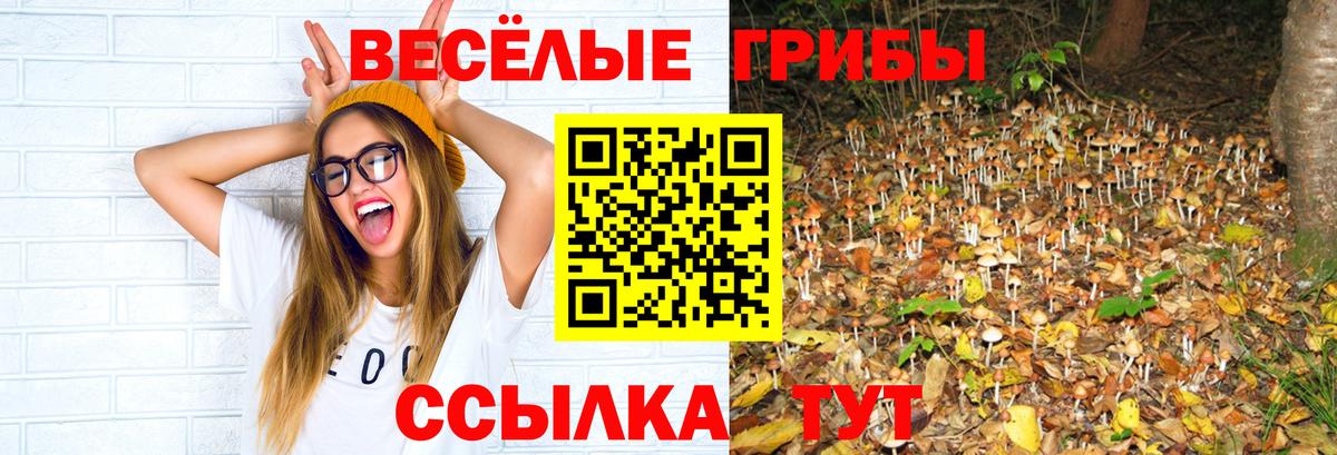 Гашиш Кушва